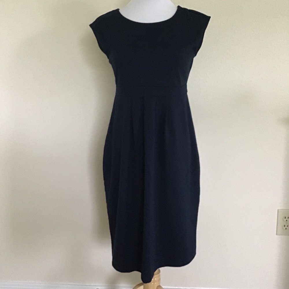 Navy Maternity Dress